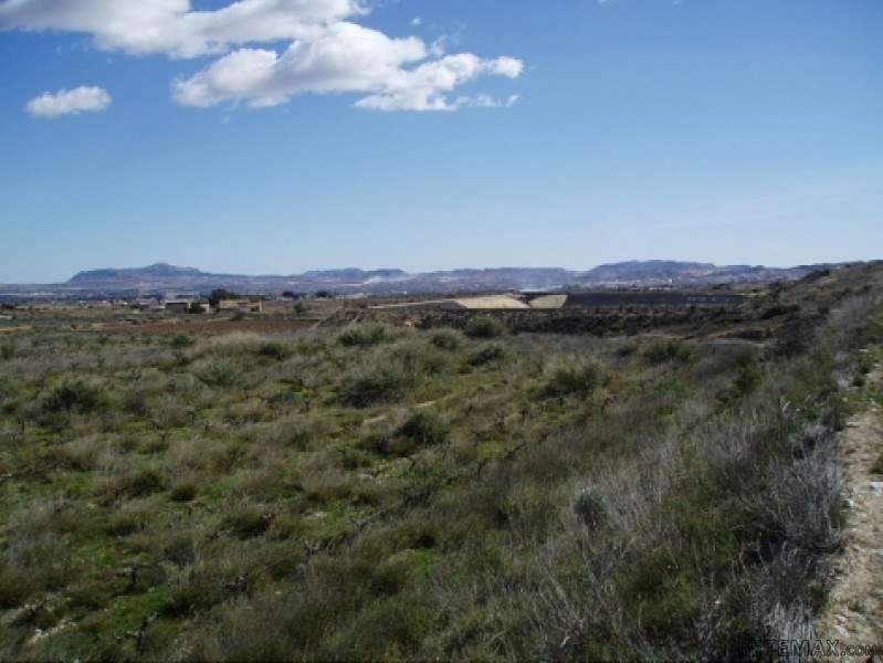 Novelda- Legal Building Plot For Sale.. - 2