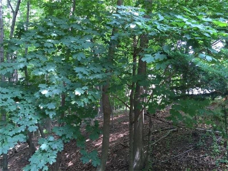 Land For Sale: Fairmont Avenue Ardsley.. - 2