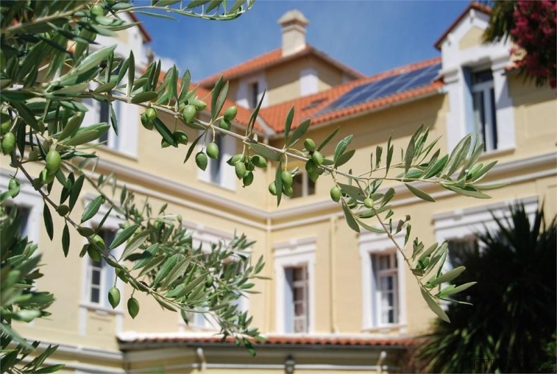 Superb 2 Bed Apartment With Park And.. - 2