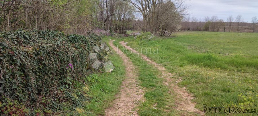 Žužići, Istra - teren 1025m2 za villu, obiteljsku kuću
