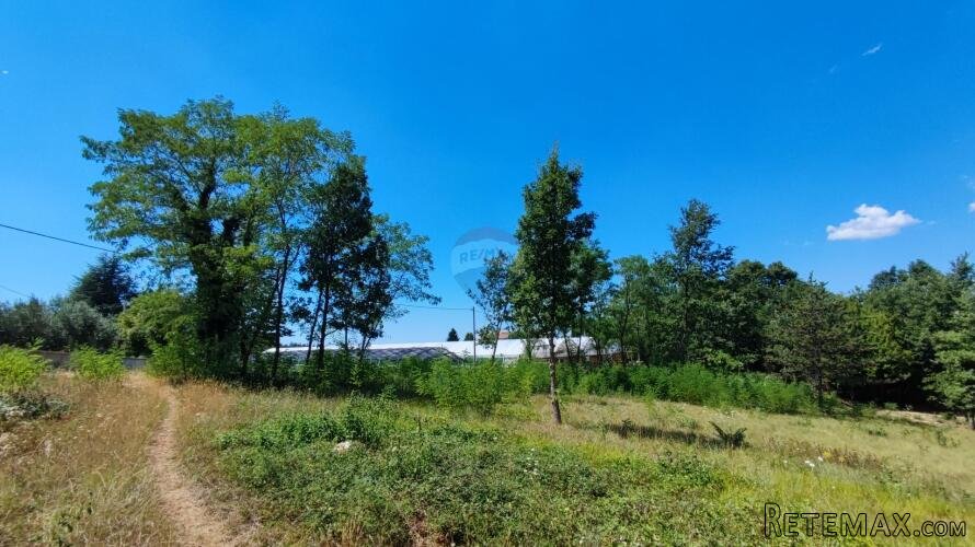 Istra, građevinsko i poljoprivredno zemljište 11142m2 - 2