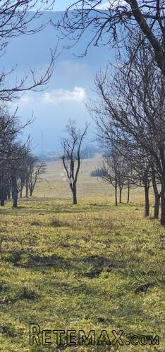 KUĆA NA TERENU OD 40952m2