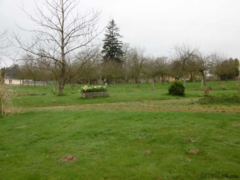 Countryside Detached House - 2