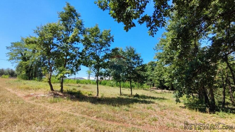 Istra, građevinsko i poljoprivredno zemljište 11142m2 - 3