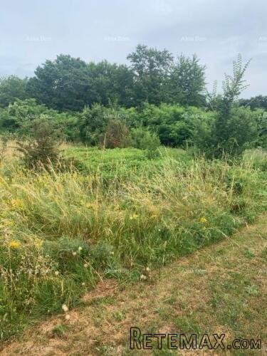 Pazin – građevinsko zemljište 940 m² u mirnom okruženju - 3