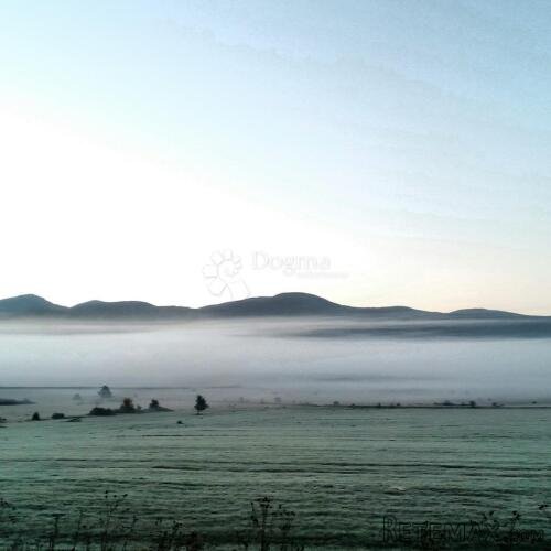 Rijetka prilika