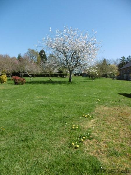 Superb Detached Property - 2