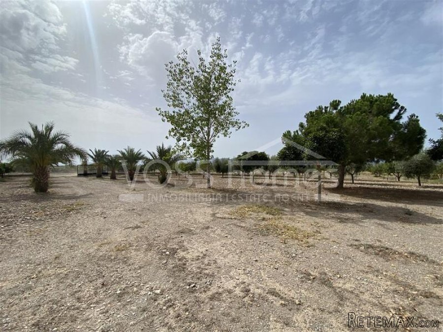 NEW LISTING TO VOSS HOMES - A 2 bed, 2 bath Country.. - 19