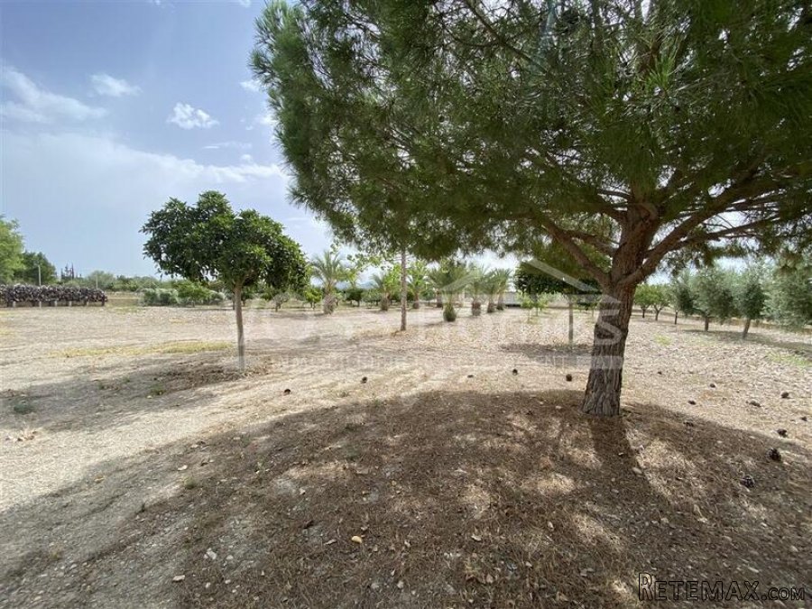 NEW LISTING TO VOSS HOMES - A 2 bed, 2 bath Country.. - 20