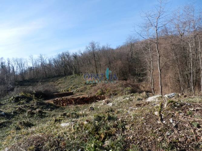 VEPRINAC ATRAKTIVNO ZEMLJIŠTE U T2 ZONI CIJENA NIJE FIKSNA! - 4