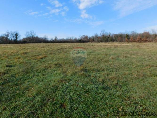Okolica Brtonigle - Građevinsko zemljište od 5.700m2 - 2
