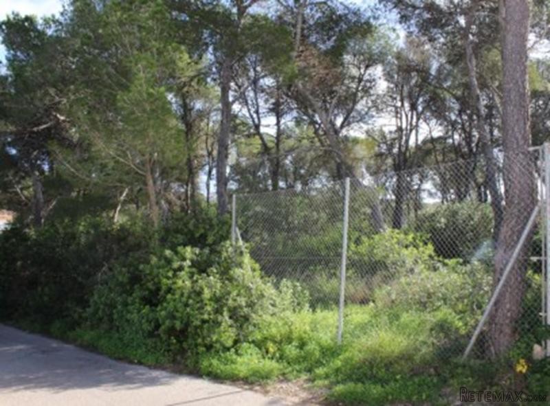 Plot in Javea