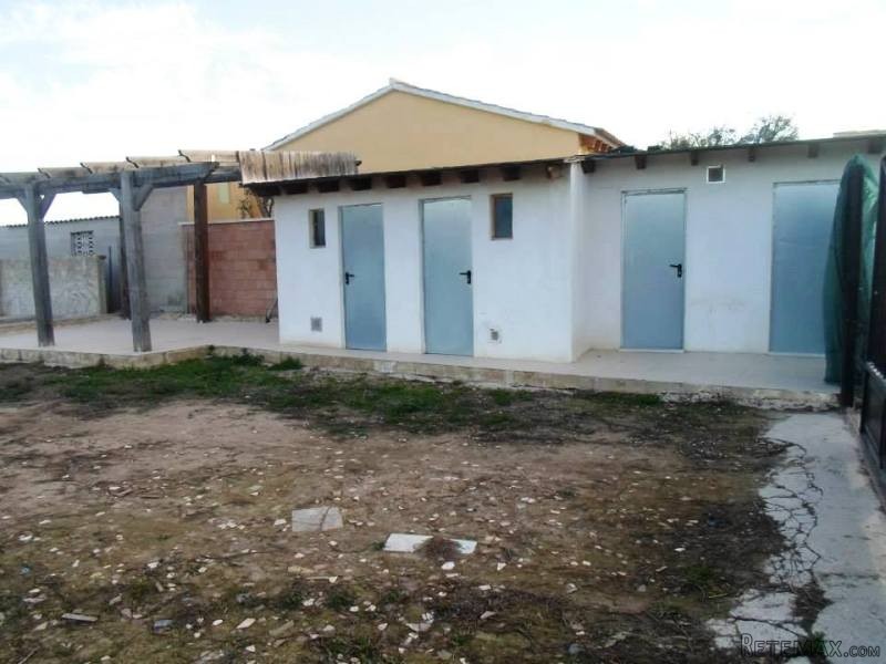 FinAl, Finca of 6000m2 in Algorfa for..