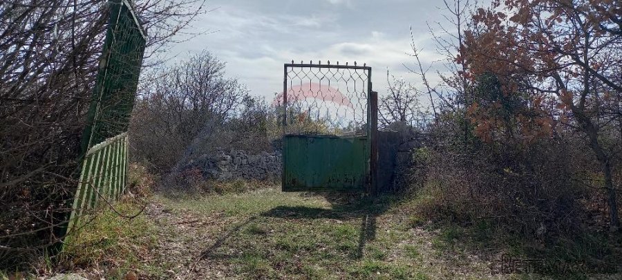 Istra, okolica Vodnjana, maslinik na 2 čestice - 2