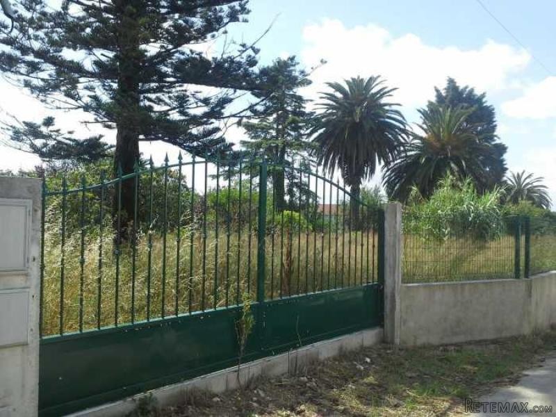 4 Bedrooms Farm For Sale - Aveiro - 2