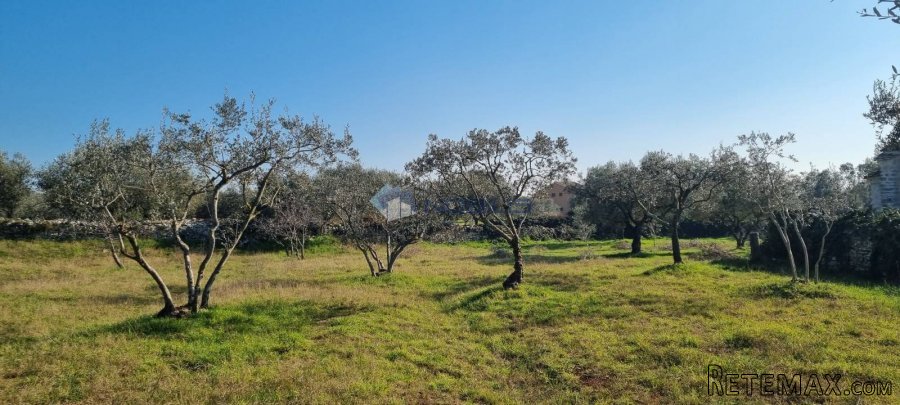 Pula, Fažana, 1500m2, moguć ulaz sa dvije strane, 700m od m.. - 3