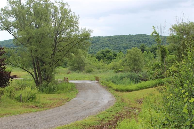 Land For Sale: 549 Old Route 22 Amenia..