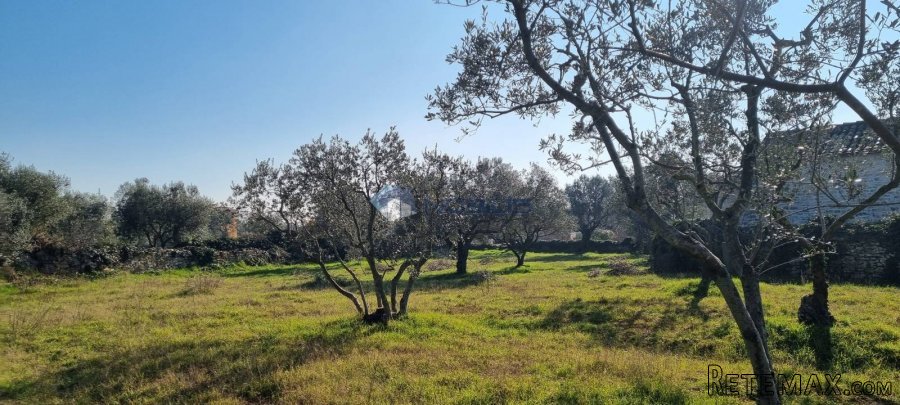 Pula, Fažana, 1500m2, moguć ulaz sa dvije strane, 700m od m.. - 4