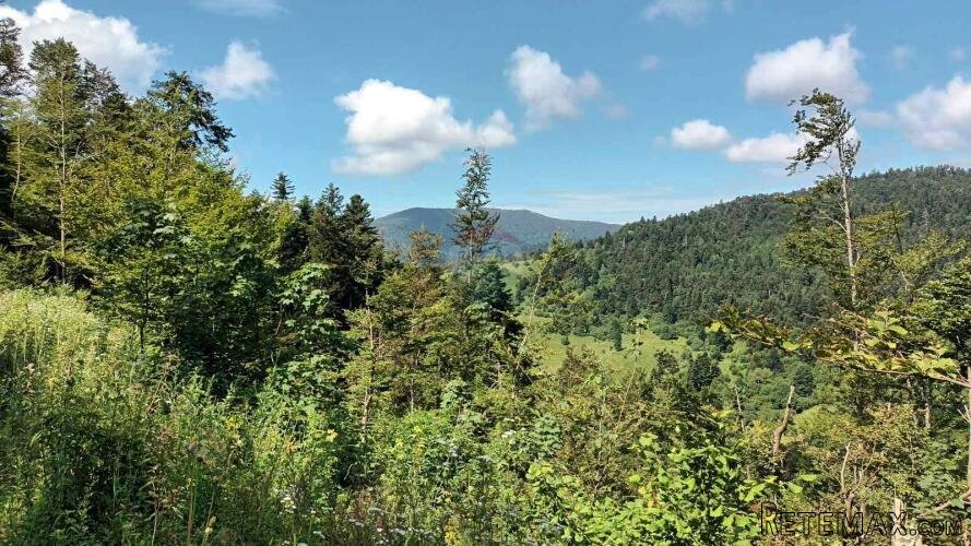 Gorski kotar, Fužine - Šumsko zemljište s prekrasnim pogledo