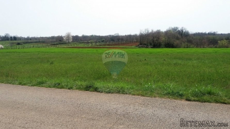 ISTRA, PREKRASNA PARCELA 2500 M2, PRILIKA! - 4