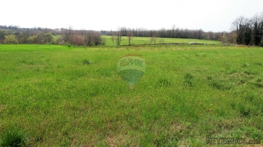 ISTRA, PREKRASNA PARCELA 2500 M2, PRILIKA! - 3