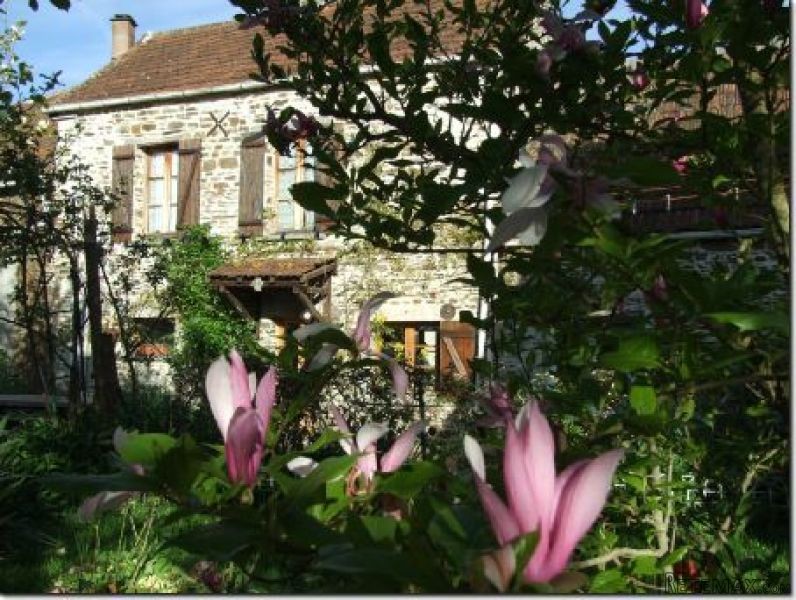 Nice Character Village House