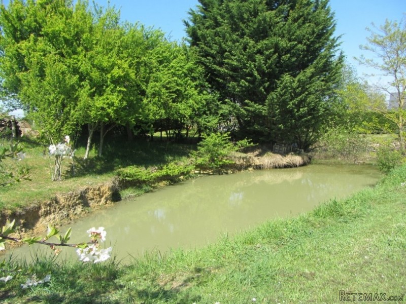 Country House with Pond and Pool - 2