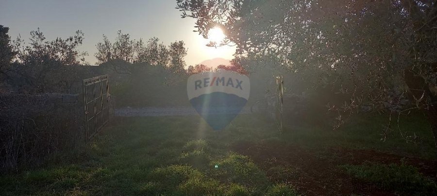 Istra, Fažana, zemljište s maslinikom - 5