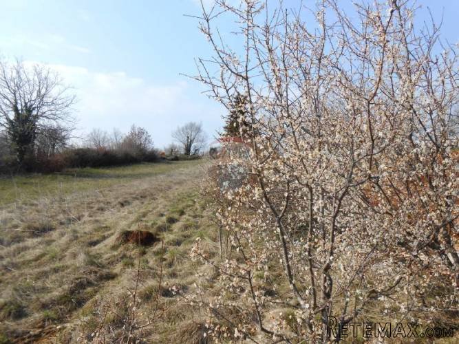 Istra, Žminj, građevinsko zemljište uz cestu - 5