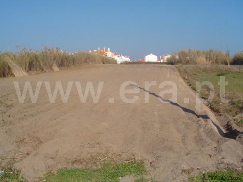 Plot, Peniche, Baleal