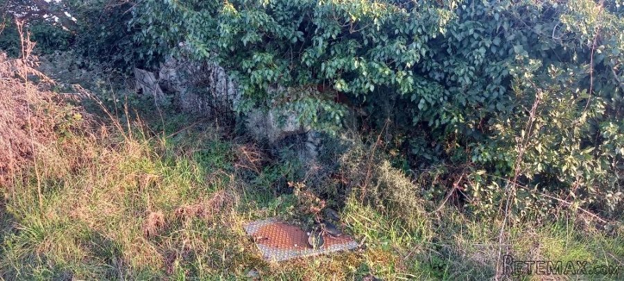 Istra, Fažana, zemljište s maslinikom - 8