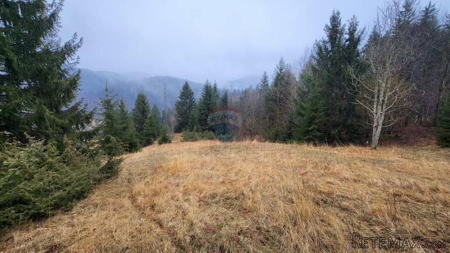 Gorski Kotar, Stari Laz - građevinski teren sa dozvolom i pr