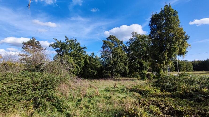 Žminj, okolica, građevinsko zemljište 2290 m2