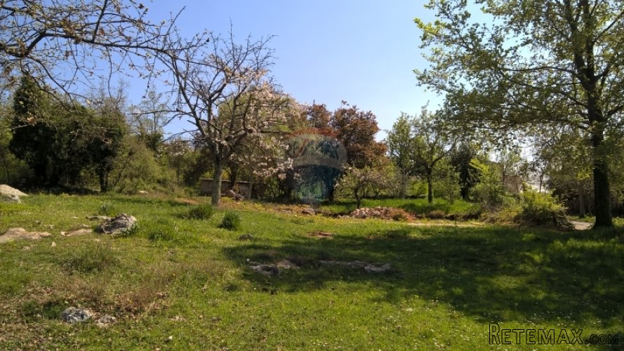 Višnjan, građevinsko zemljište - 2