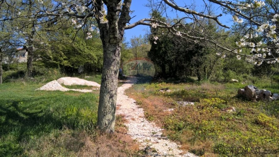Višnjan, građevinsko zemljište - 4