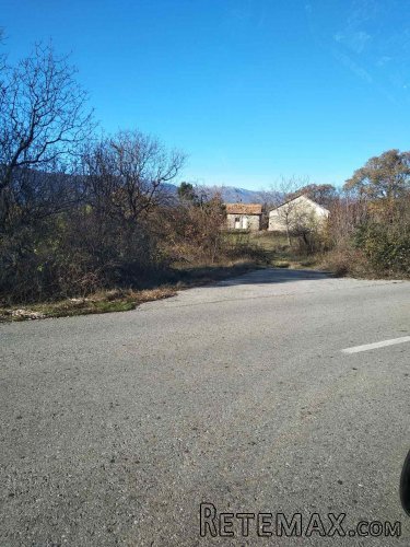 Prodajem kucu sa pomocnim objektima i imanjem - 2