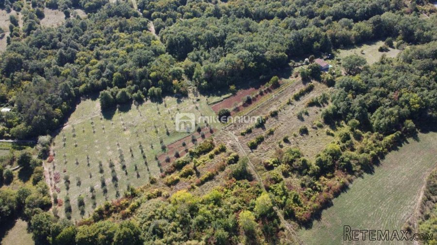 Istra, okolica Labina, imanje od 27.806m2