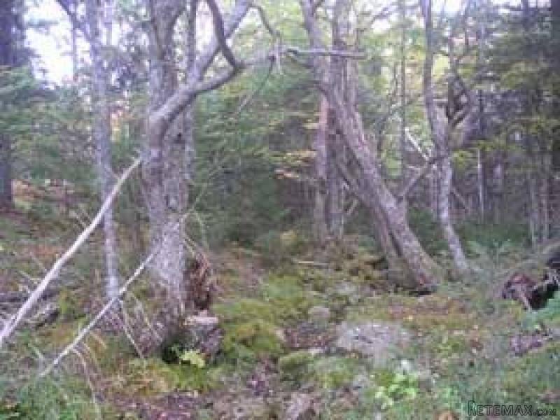 Land For Sale: Lot Curry Road Argyle.. - 2