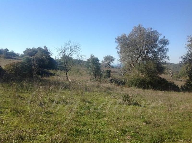 3 bedroom Plot For Sale: Querenca.. - 2
