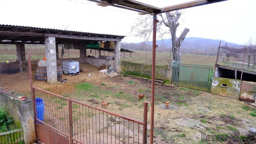 Istra, Bale, 50000m2, šume 24000m2, stara kuća, dvorište - 10