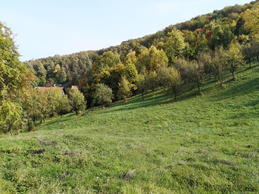 Plac u Banji Koviljaci