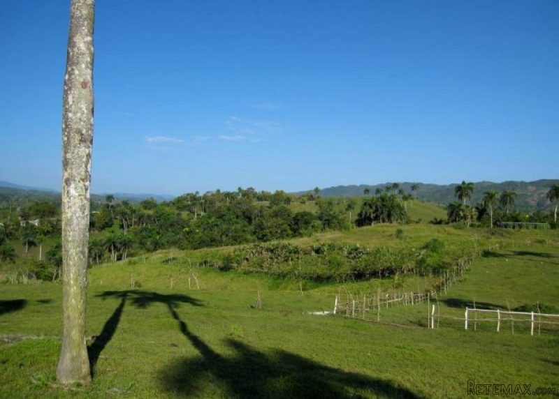 Dominican Republic Dairy Farm - 2