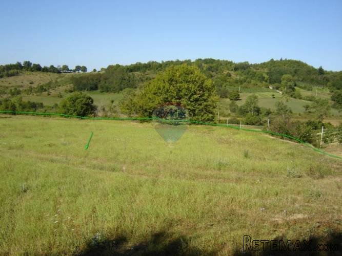 Zemljište u netaknutoj prirodi - 5