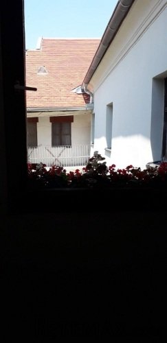 Izdajem jednoiposoban stan za Exit - 6