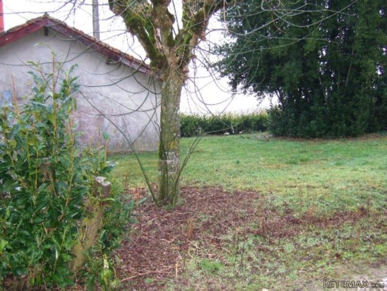 Fabulous Opportunity To Renovate A.. - 2