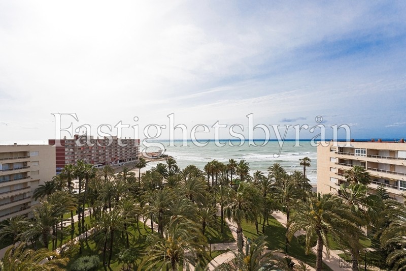 Torrevieja | Costa Blanca