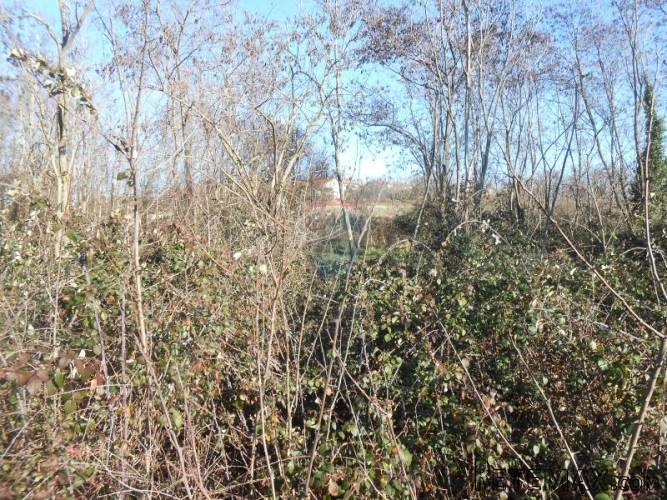 Istra, okolica Vižinade, građevinsko zemljište, 45 Eura... - 5