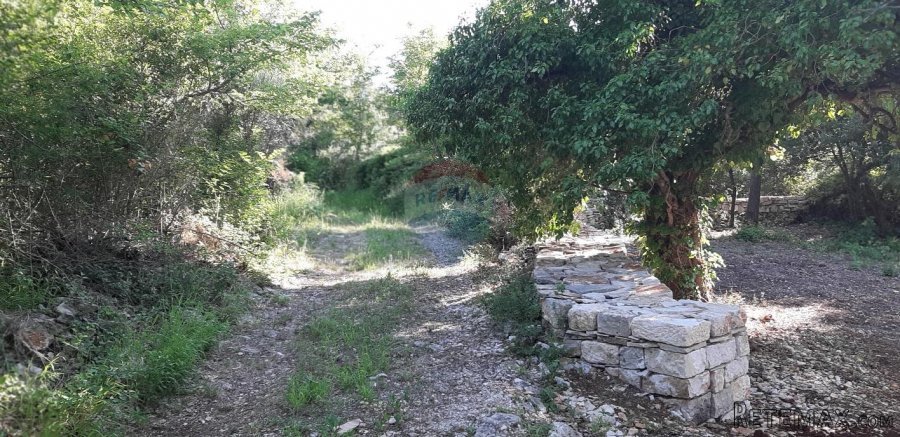 Istra, bliža okolica Vodnjana, velika parcela u prirodi - 2