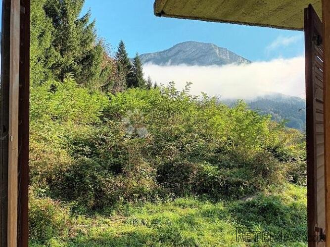 Velika kuća pored Kupe sa 2385 m2 okućnice - 2