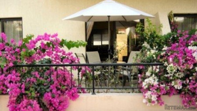 2 Bedroom Apartment In Pissouri Limassol